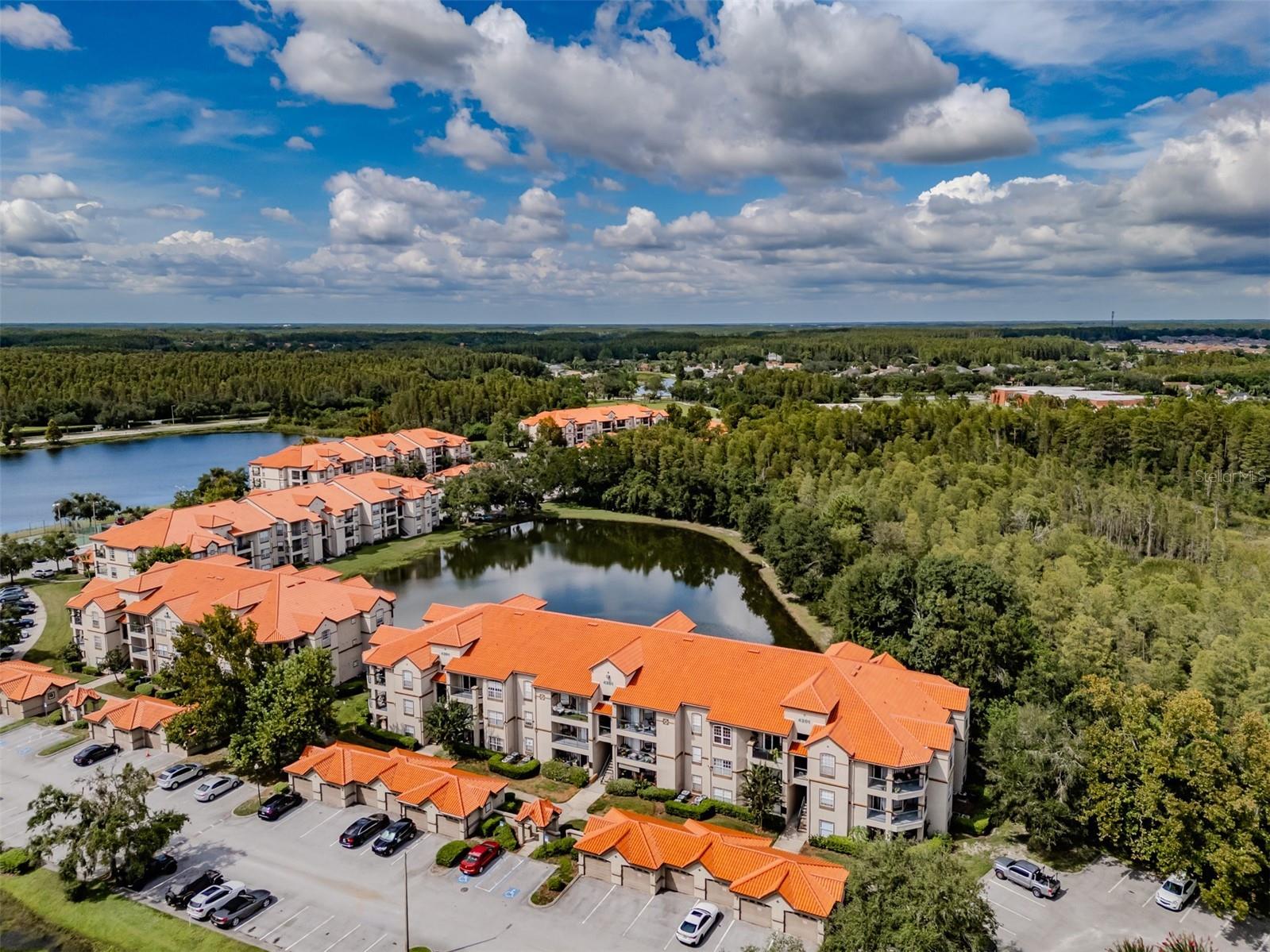 4201 Woodstorks Walk Way #3302 Lutz FL 33558 TB8505618 image2