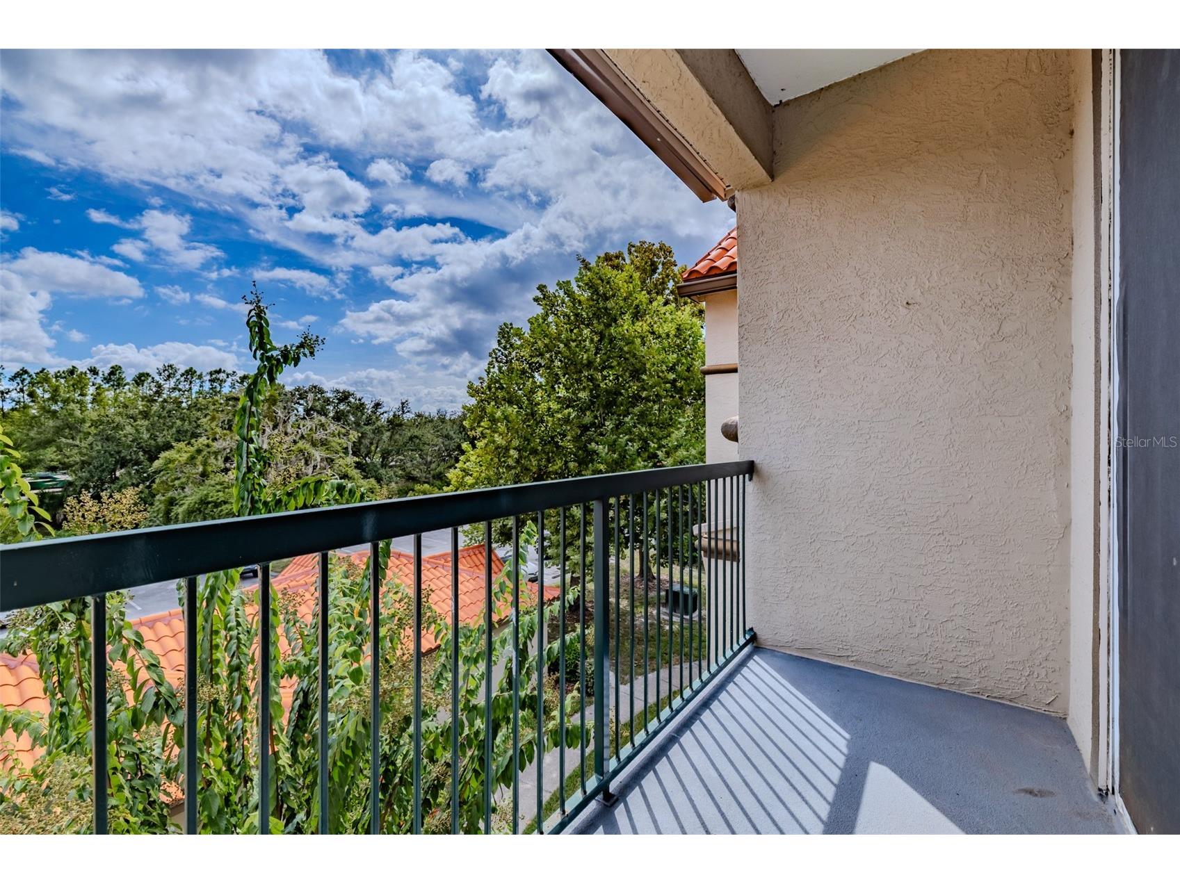 4201 Woodstorks Walk Way #3302 Lutz FL 33558 TB8505618 image23