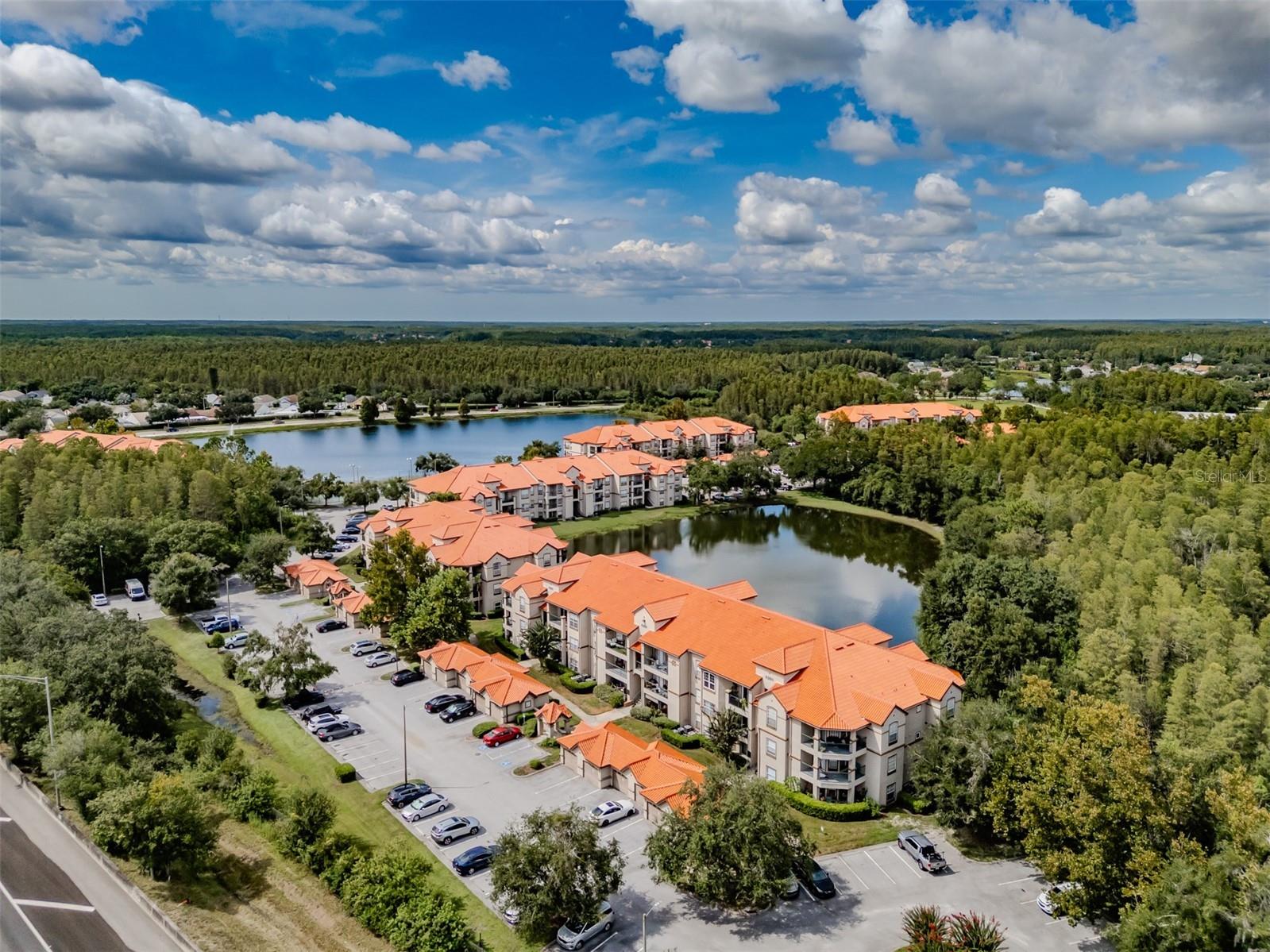 4201 Woodstorks Walk Way #3302 Lutz FL 33558 TB8505618 image27