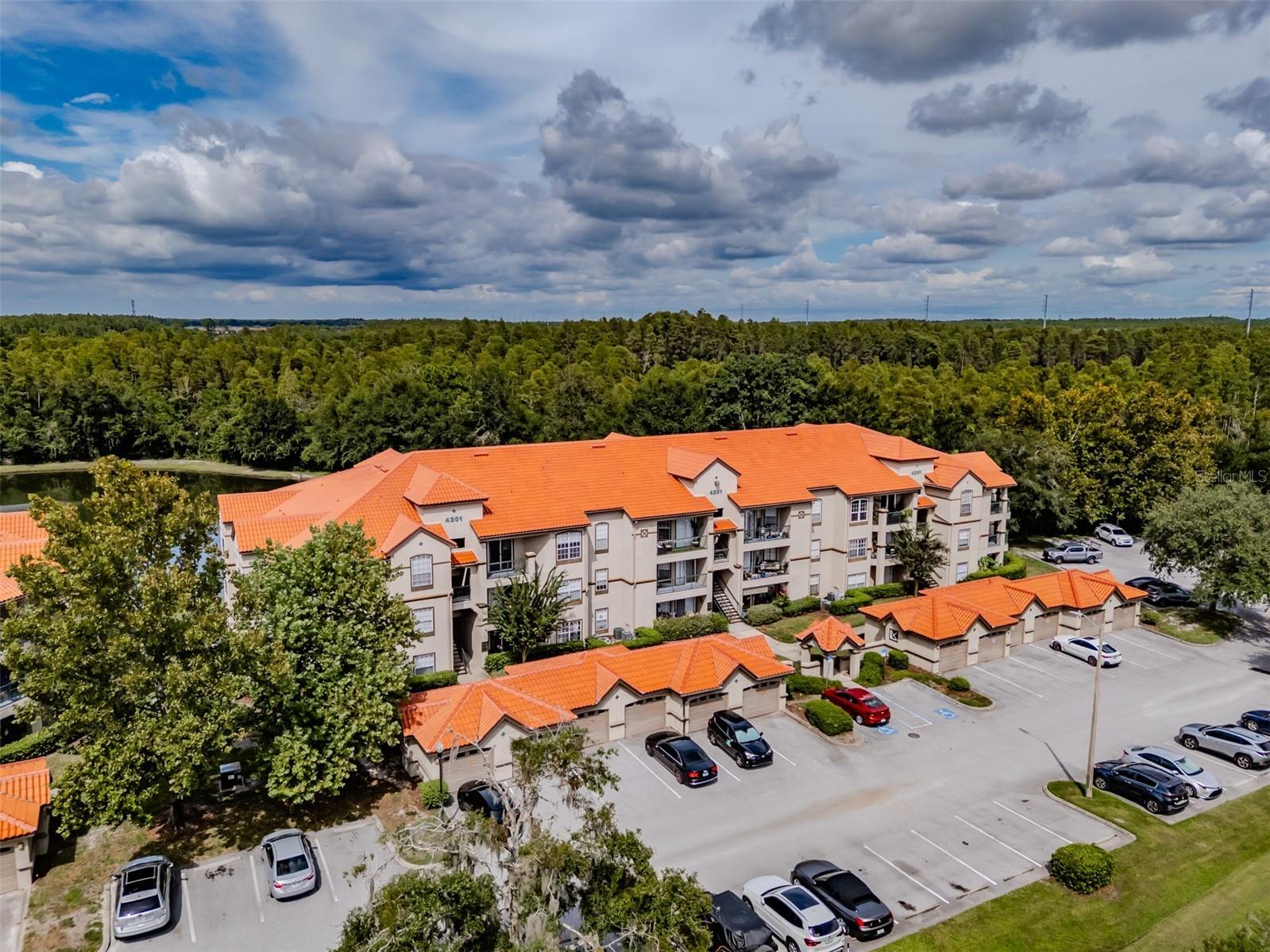 4201 Woodstorks Walk Way #3302 Lutz FL 33558 TB8505618 image3