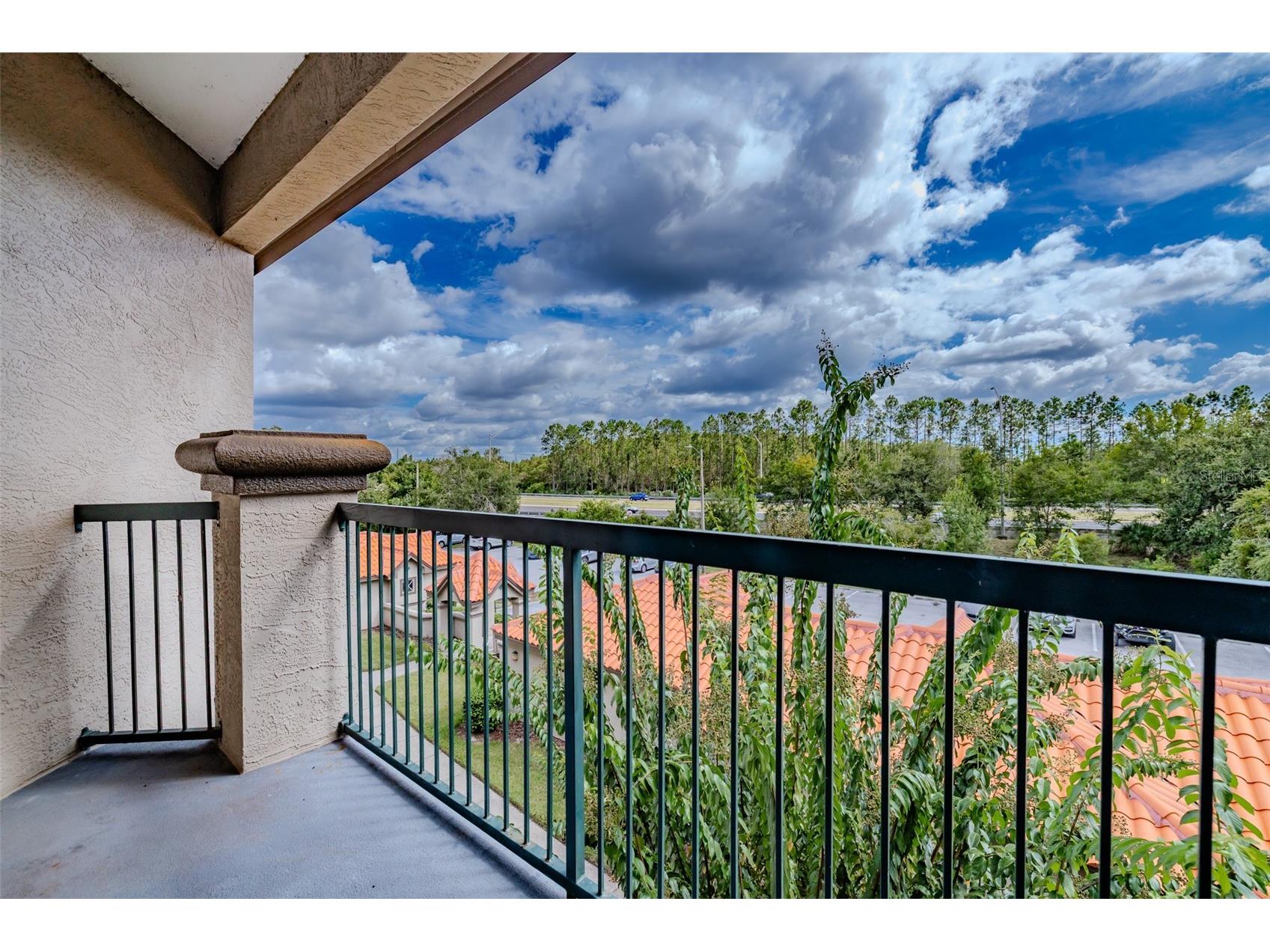 4201 Woodstorks Walk Way #3302 Lutz FL 33558 TB8505618 image4
