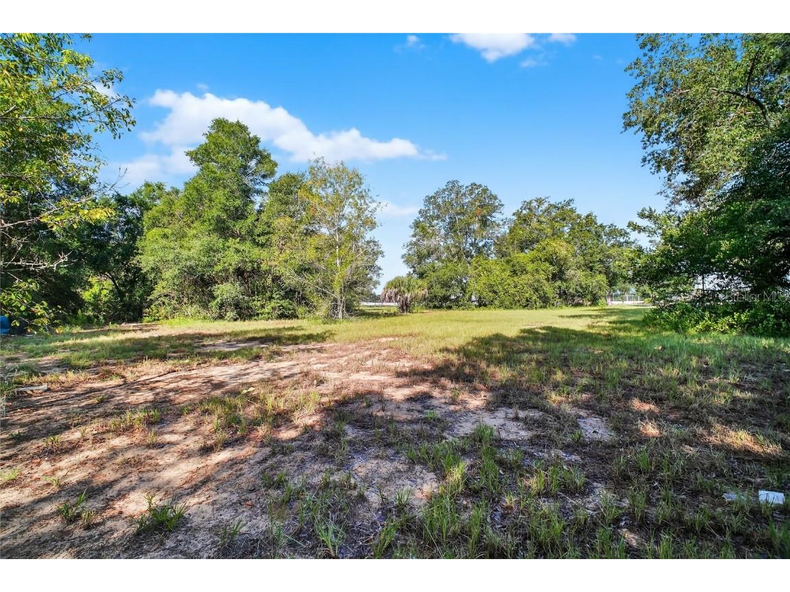 42012 State Road 19 Altoona FL 32702 G5101065 image10