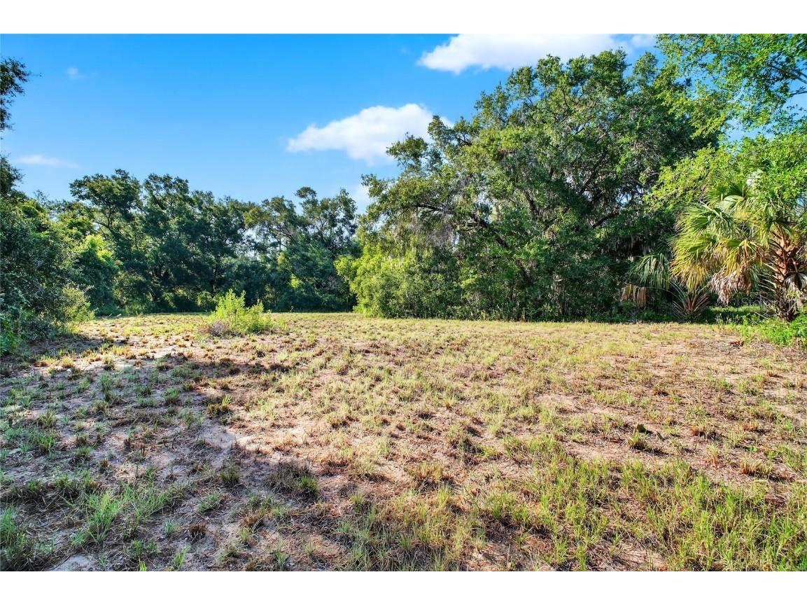 42012 State Road 19 Altoona FL 32702 G5101065 image12