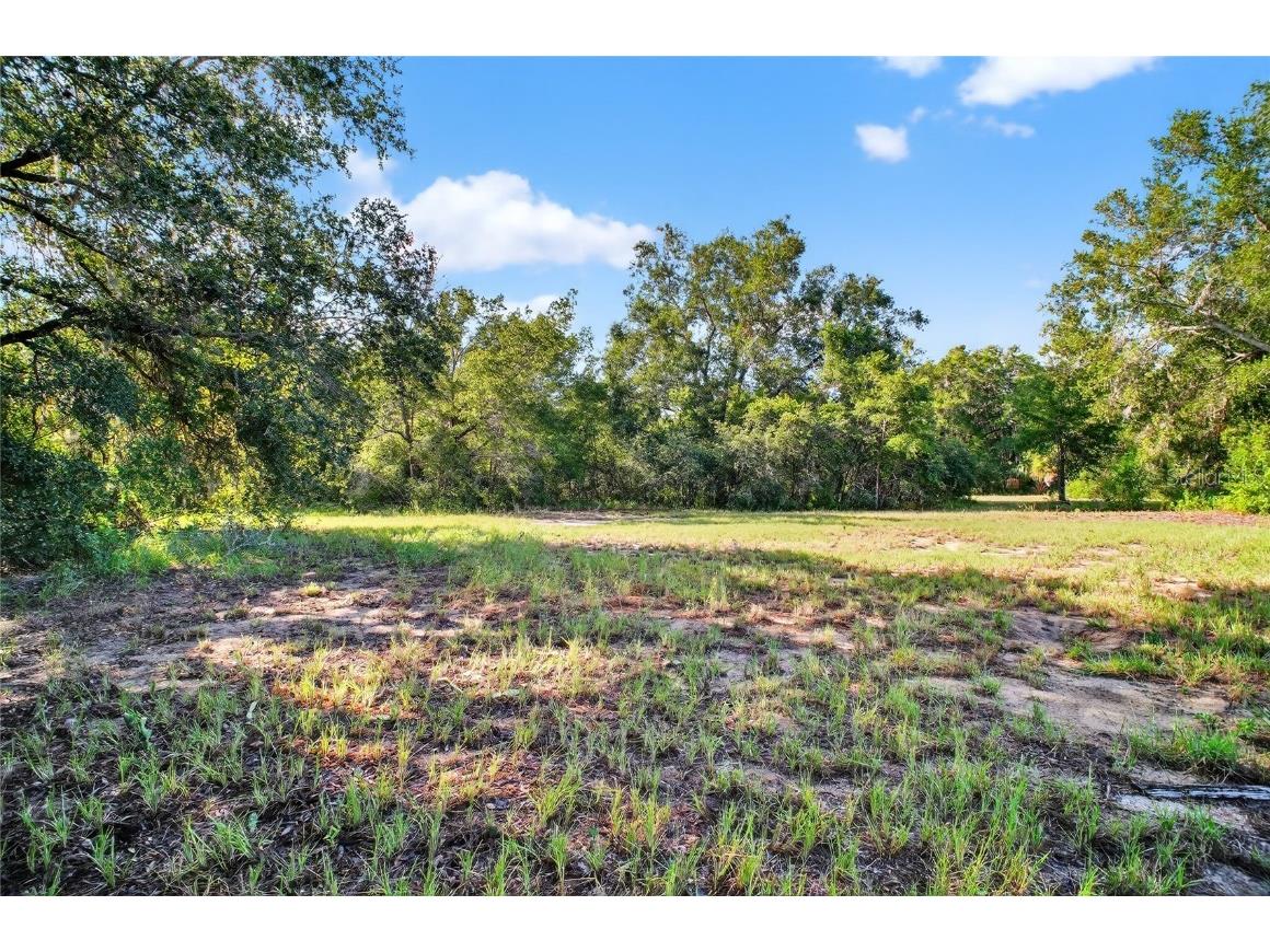 42012 State Road 19 Altoona FL 32702 G5101065 image8