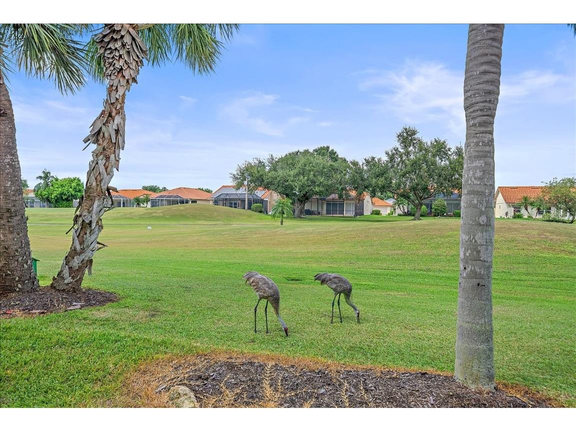 4202 Caddie Drive E #102 Bradenton FL 34203 A4664919 image29