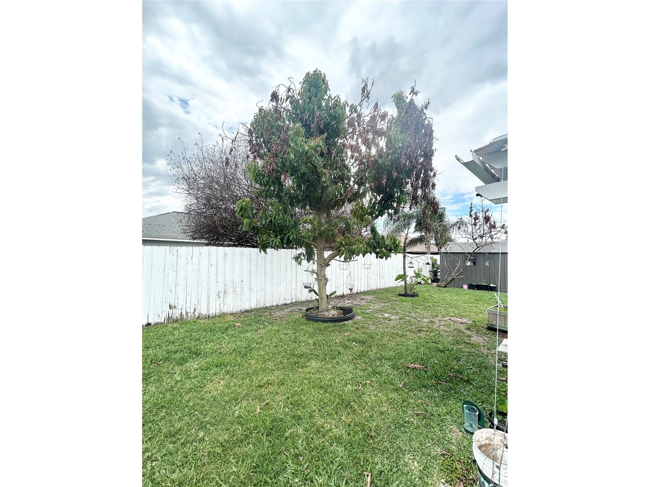 4202 Cracker Court Saint Cloud FL 34772 O6397239 image35
