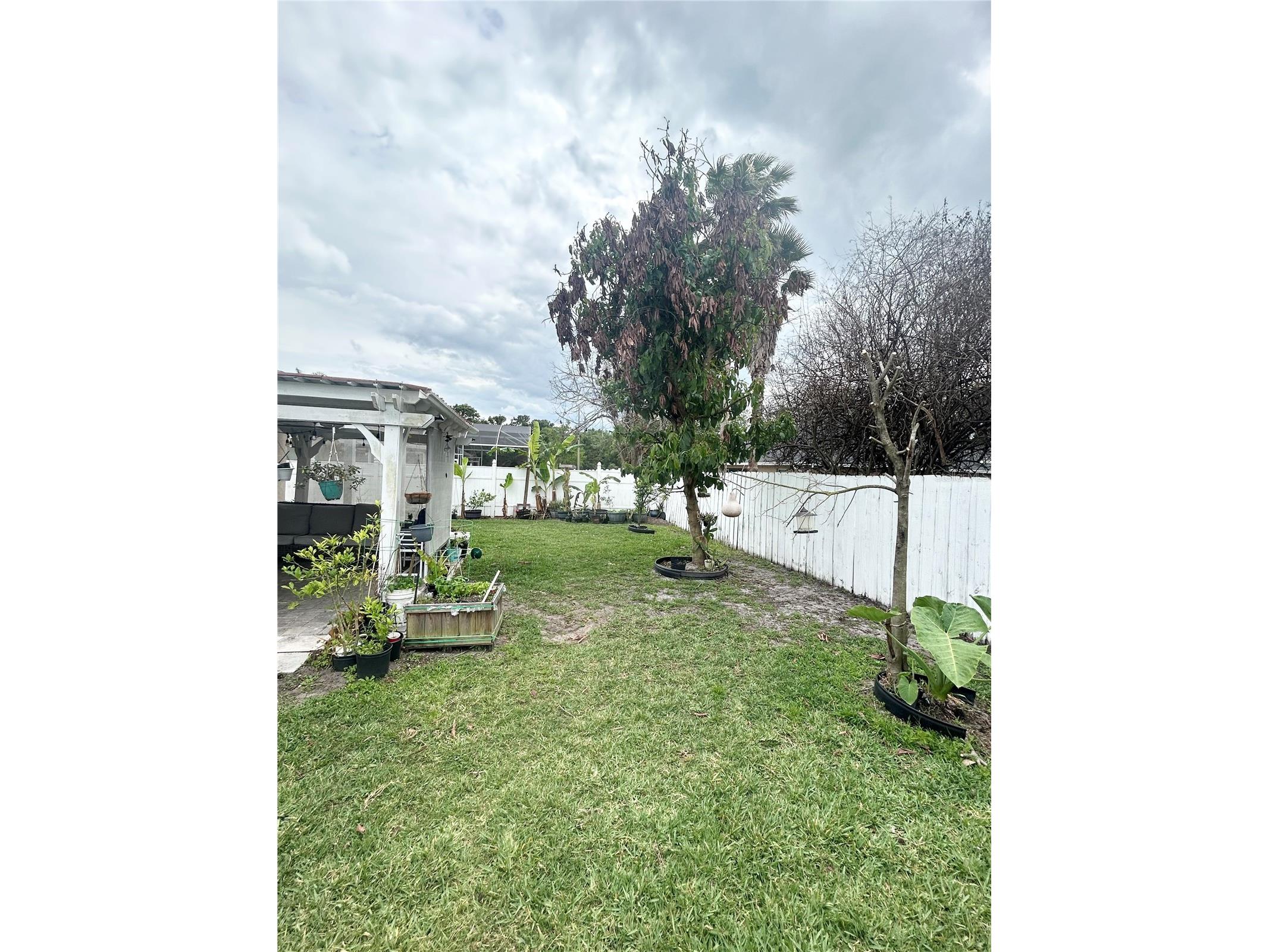 4202 Cracker Court Saint Cloud FL 34772 O6397239 image41