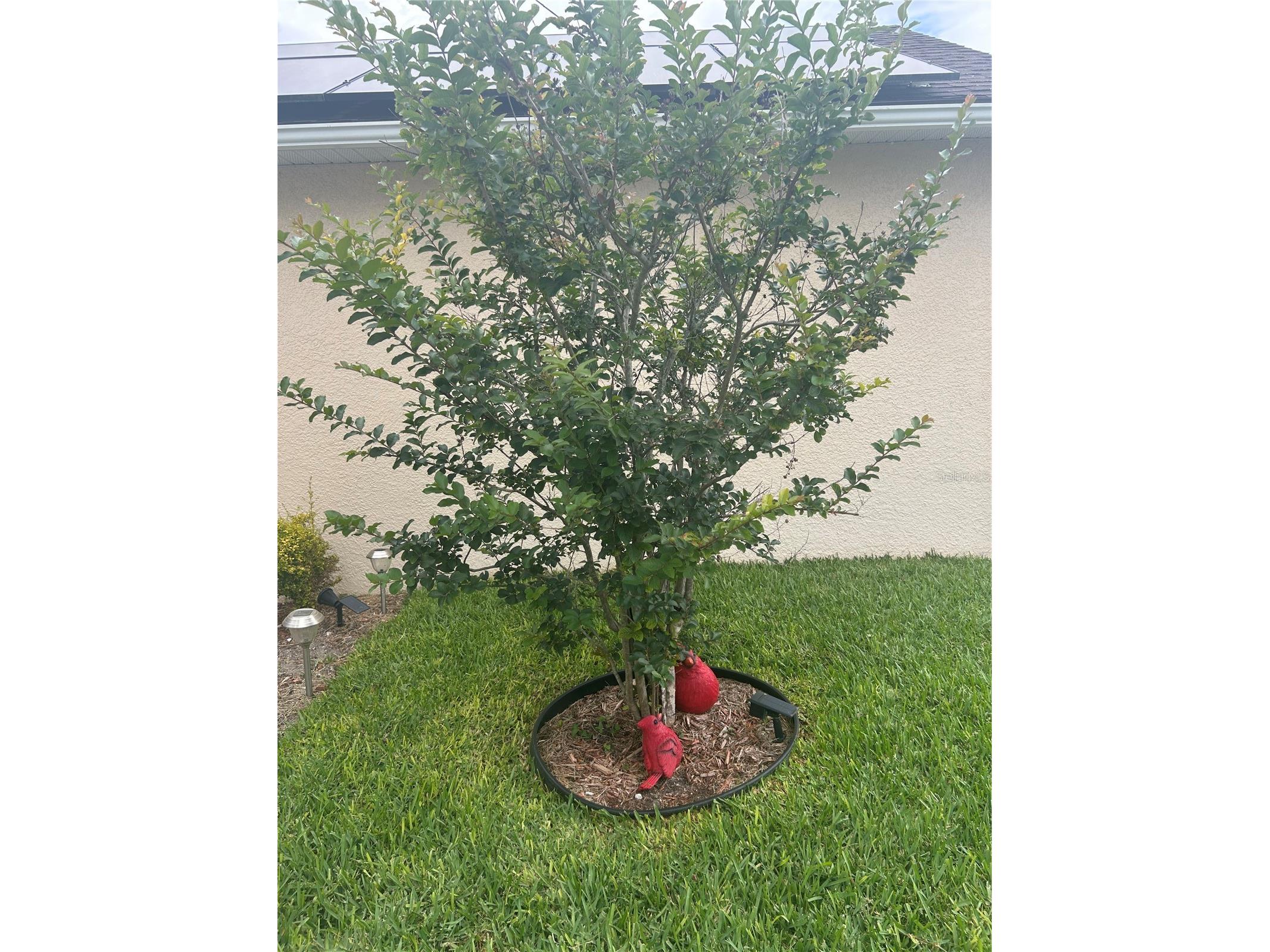 4202 Cracker Court Saint Cloud FL 34772 O6397239 image5