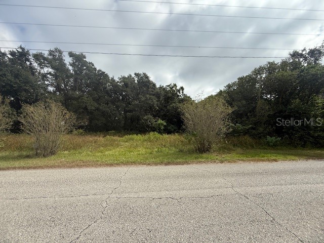 4202 Drawdy Road Plant City FL 33567 TB8442283 image5