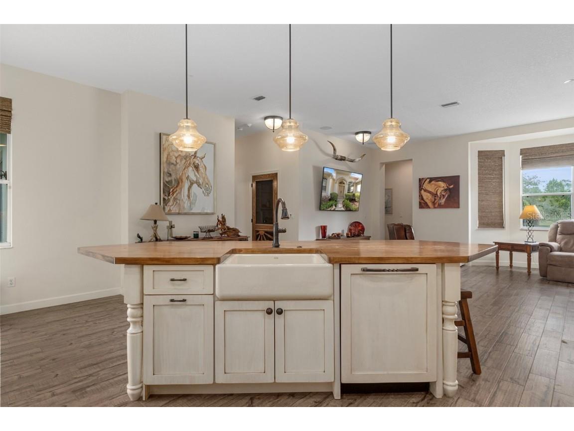 4202 N Pony Drive Beverly Hills FL 34465 W7880217 image13