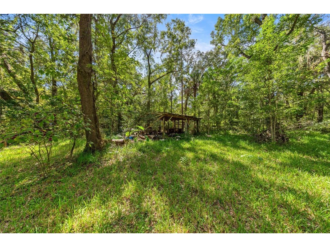 4202 NE 119th Terrace Gainesville FL 32641 OM711528 image16