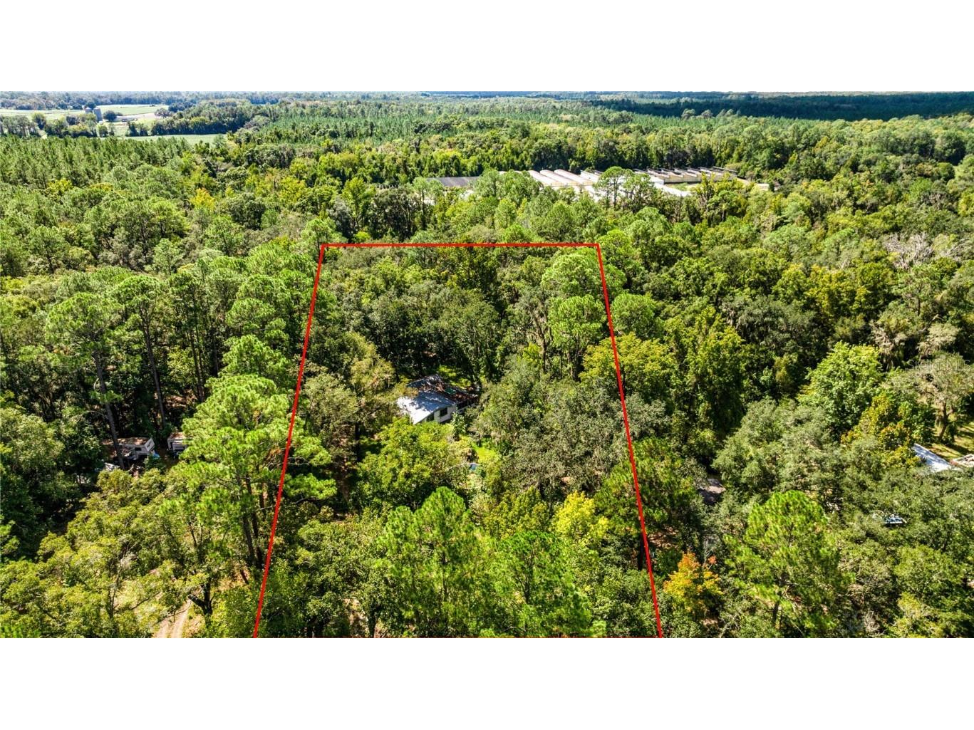 4202 NE 119th Terrace Gainesville FL 32641 OM711528 image5