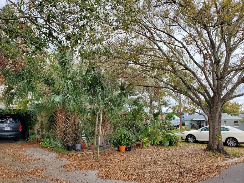 4202 W Bay Vista Avenue Tampa FL 33611 TB8359375 image1