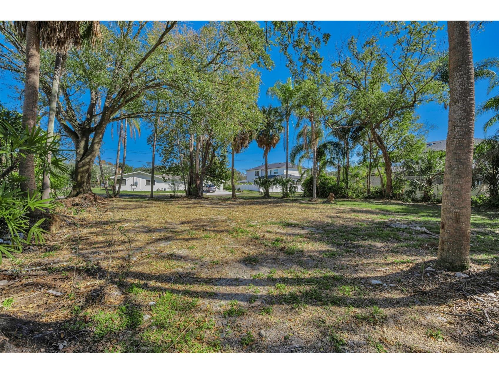 4202 W Leona Street Tampa FL 33629 TB8345595 image1