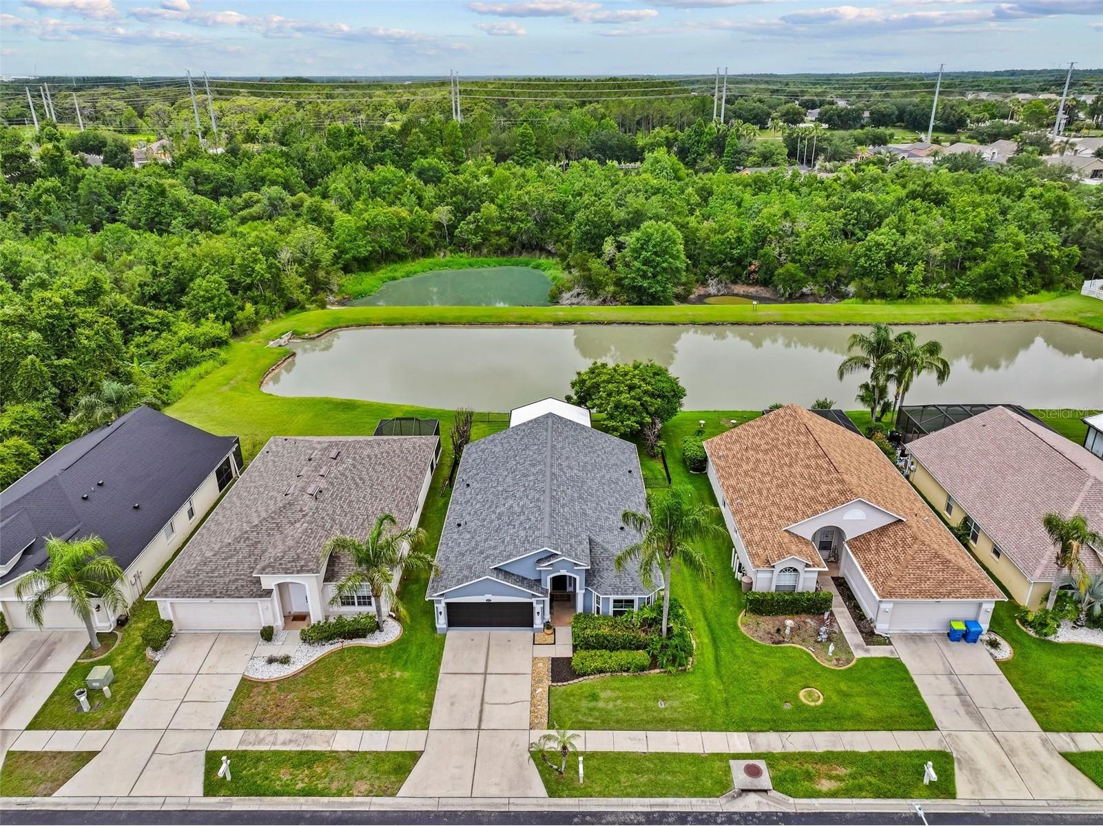 4203 Edenrock Place Place Wesley Chapel FL 33543 TB8519422 image43
