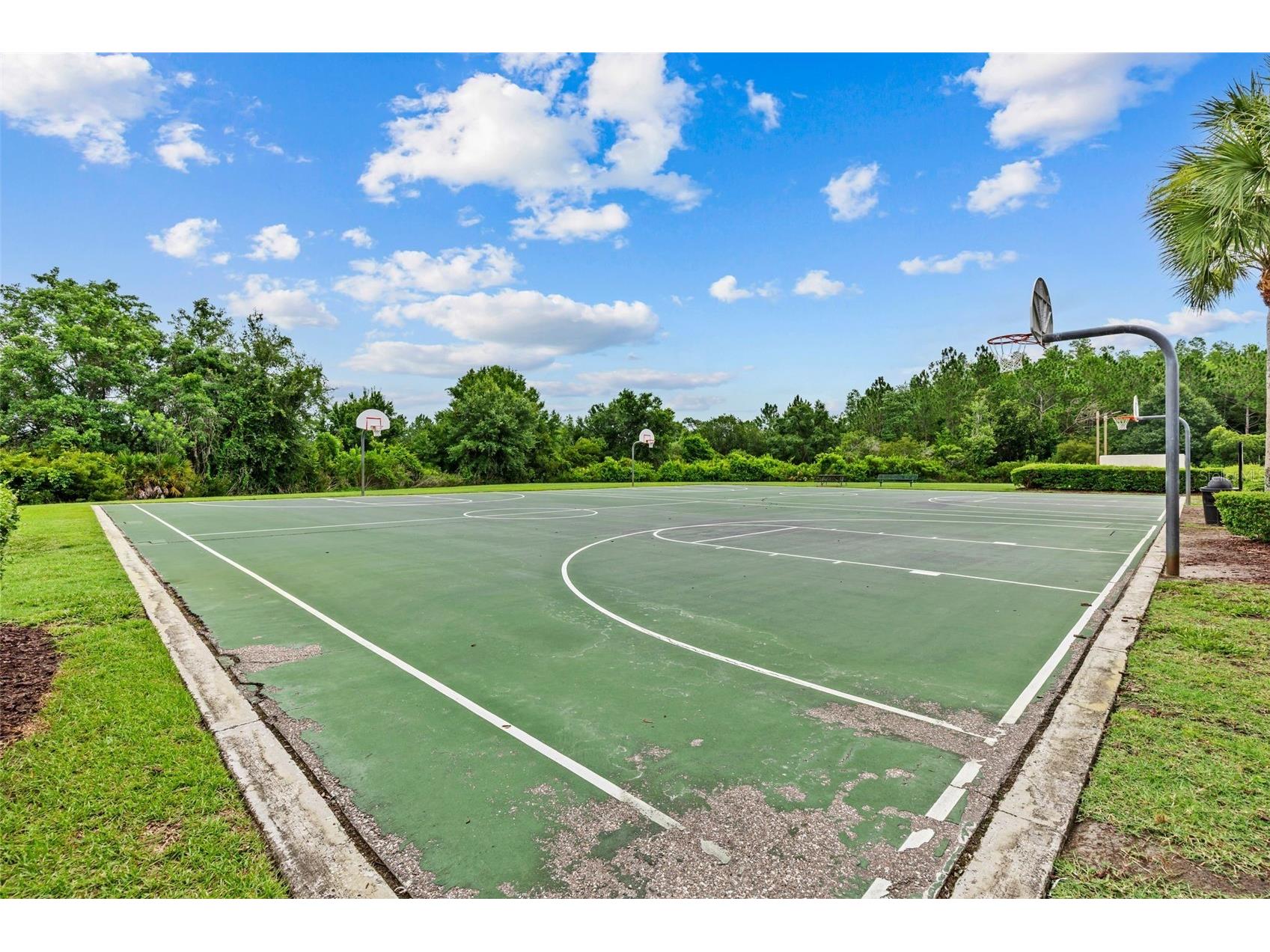 4203 Edenrock Place Place Wesley Chapel FL 33543 TB8519422 image56