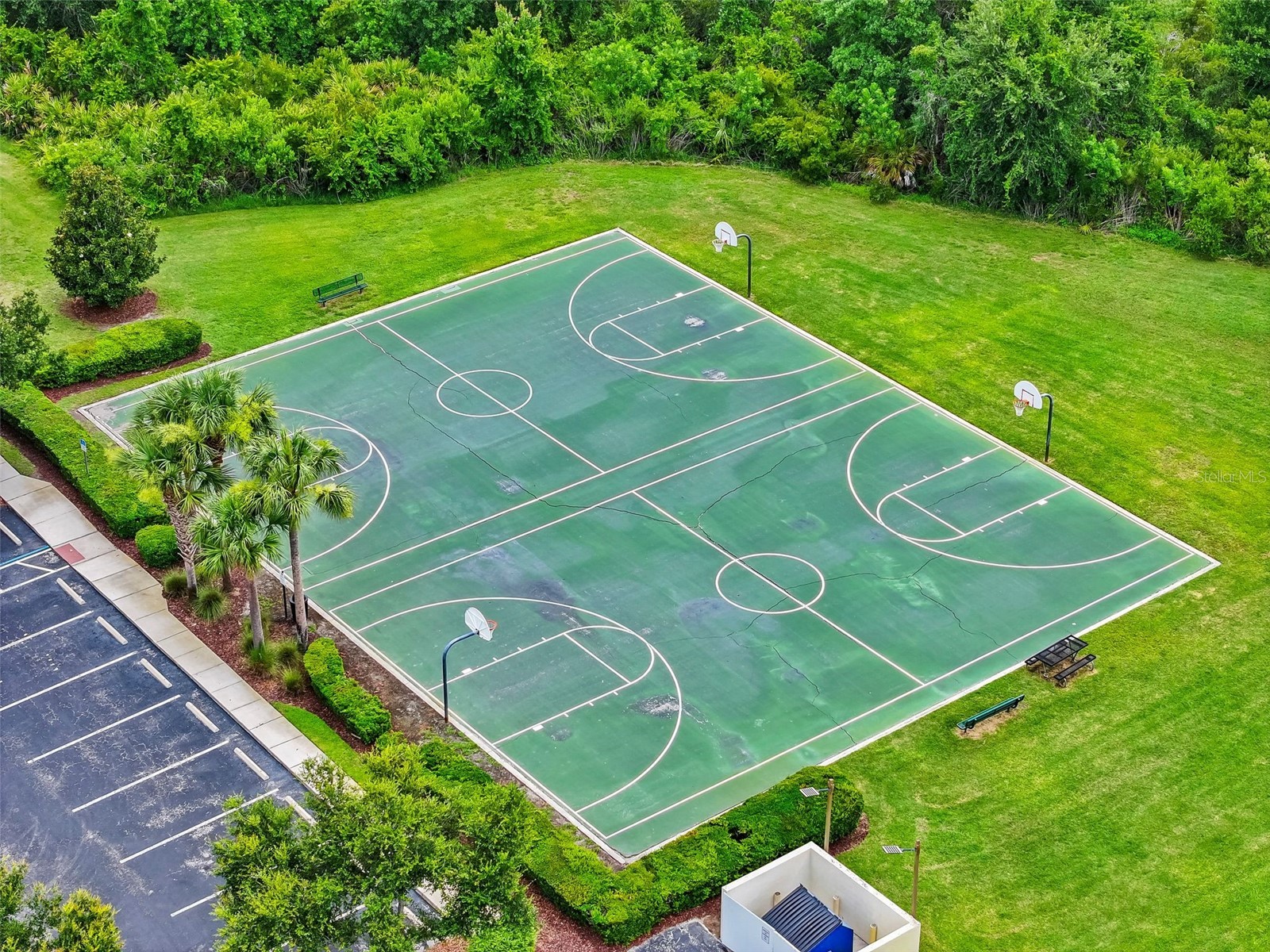 4203 Edenrock Place Place Wesley Chapel FL 33543 TB8519422 image60