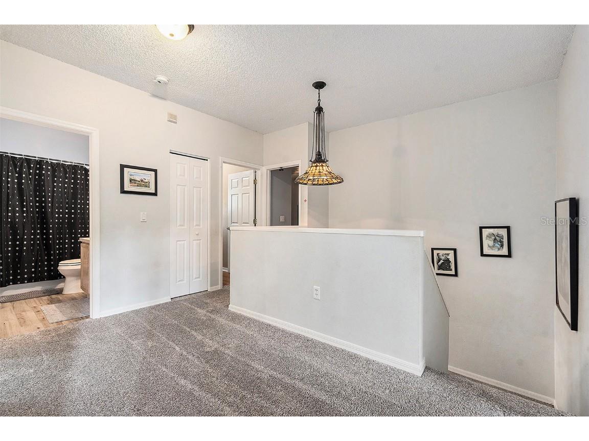 4204 Harbor Lake Drive Lutz FL 33558 TB8442437 image15