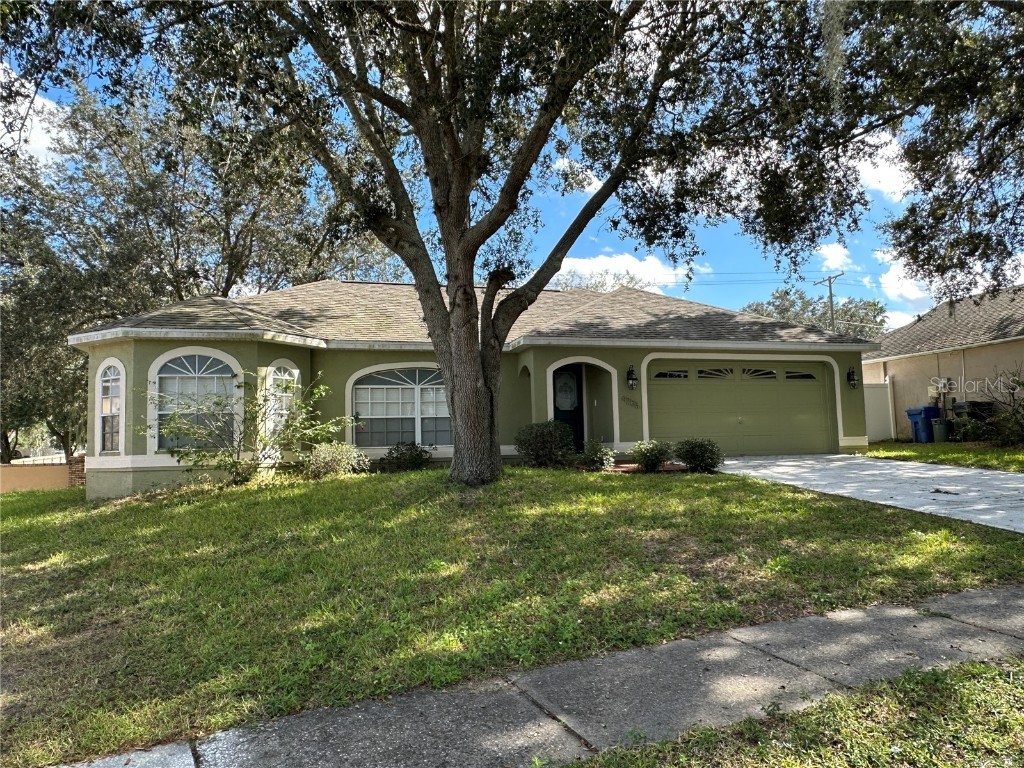 4205 Amber Ridge Lane Valrico FL 33594 T3489515 image1