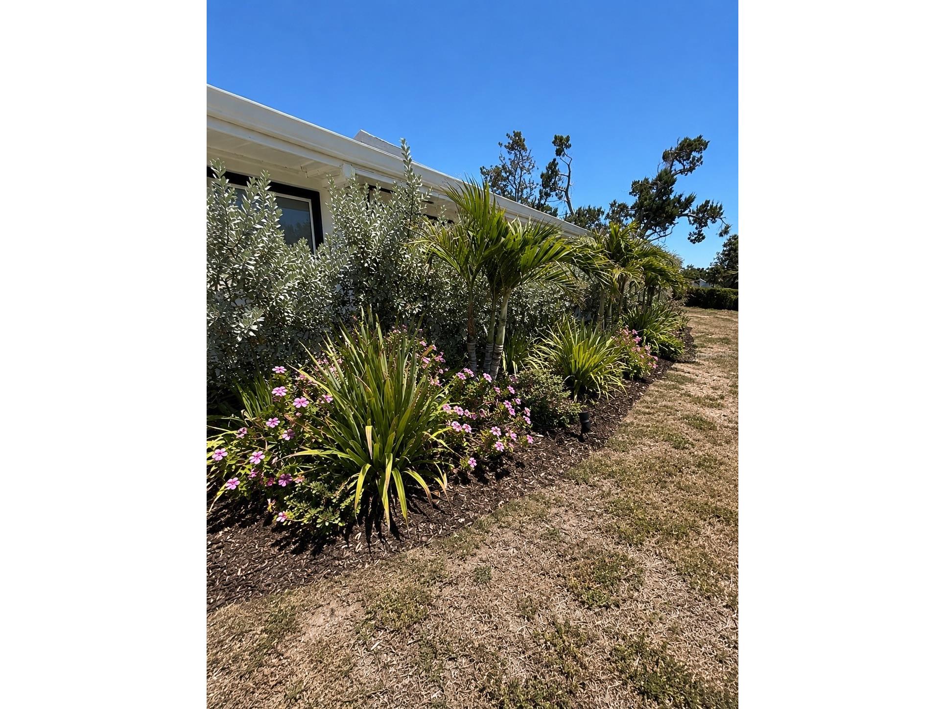 4205 Augustine Avenue Sarasota FL 34231 A4693871 image22