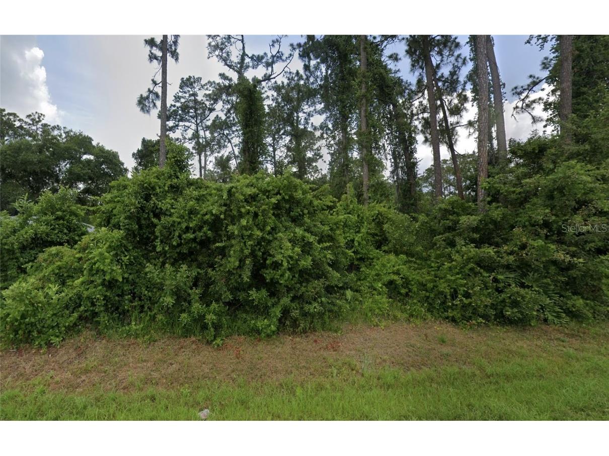 4205 Barbarossa Avenue Sebring FL 33872 TB8408562 image1