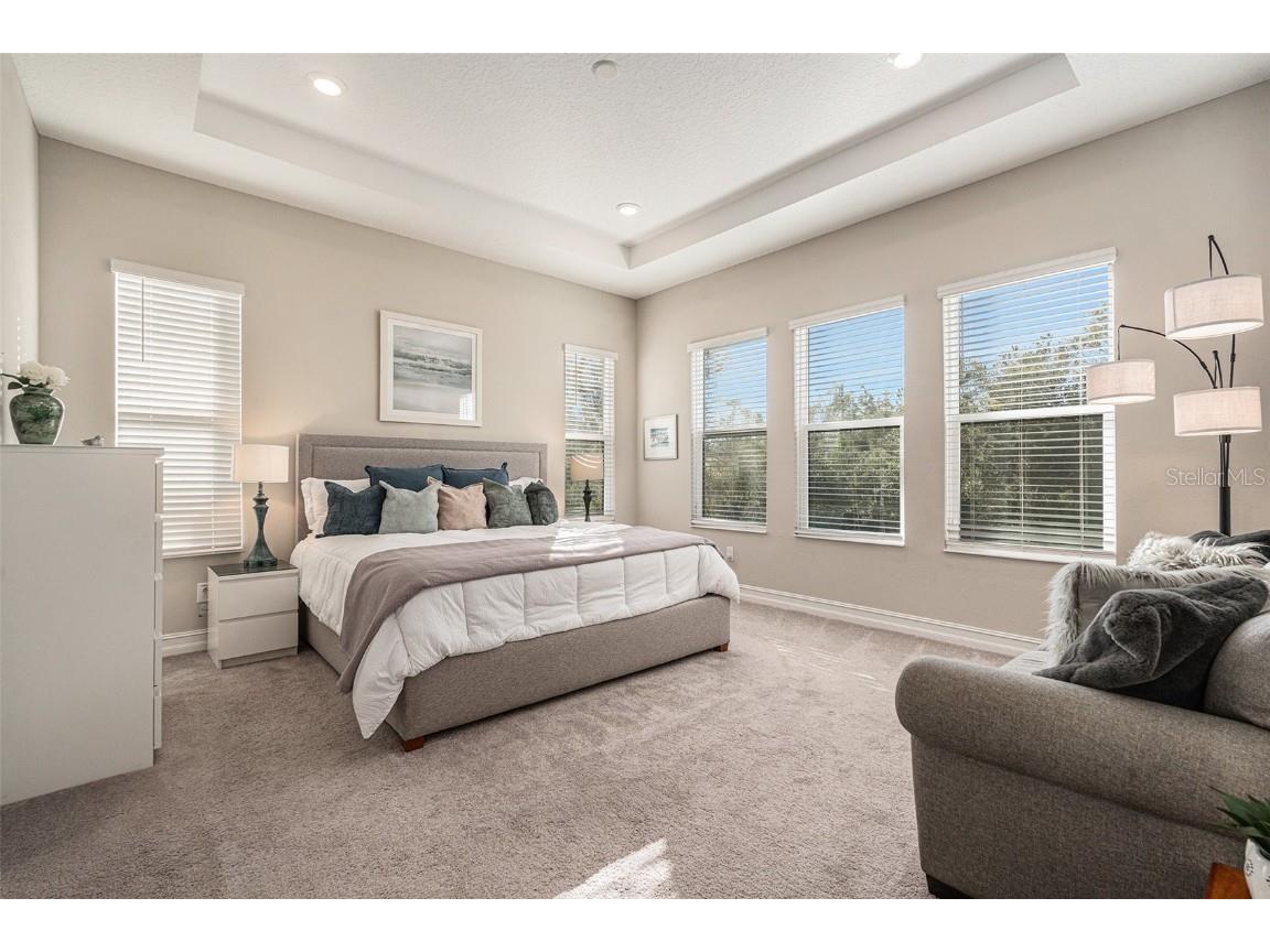 4205 Barletta Court Wesley Chapel FL 33543 TB8443858 image17