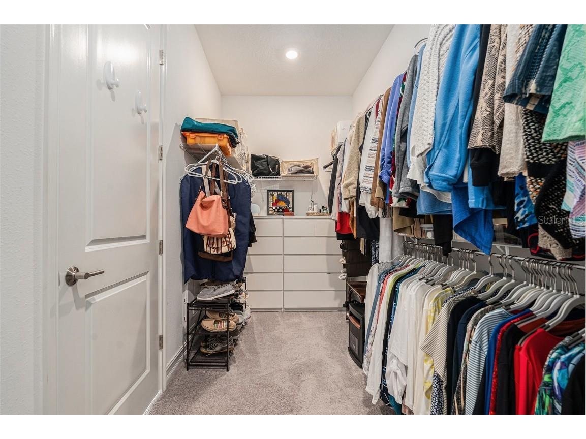 4205 Barletta Court Wesley Chapel FL 33543 TB8443858 image21