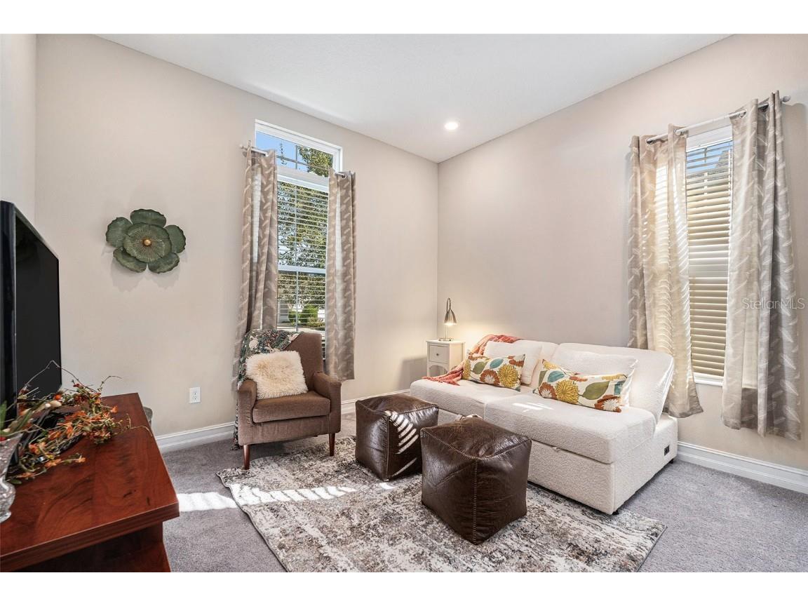 4205 Barletta Court Wesley Chapel FL 33543 TB8443858 image23