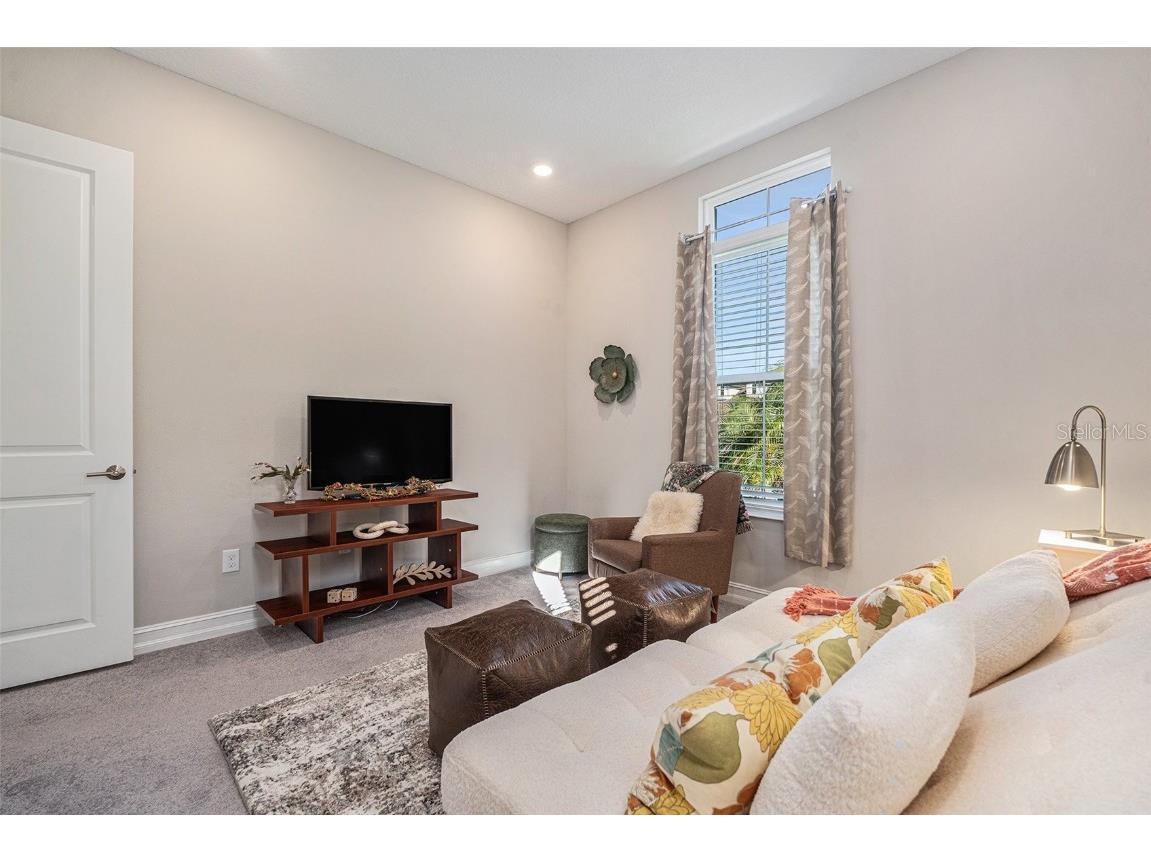 4205 Barletta Court Wesley Chapel FL 33543 TB8443858 image24