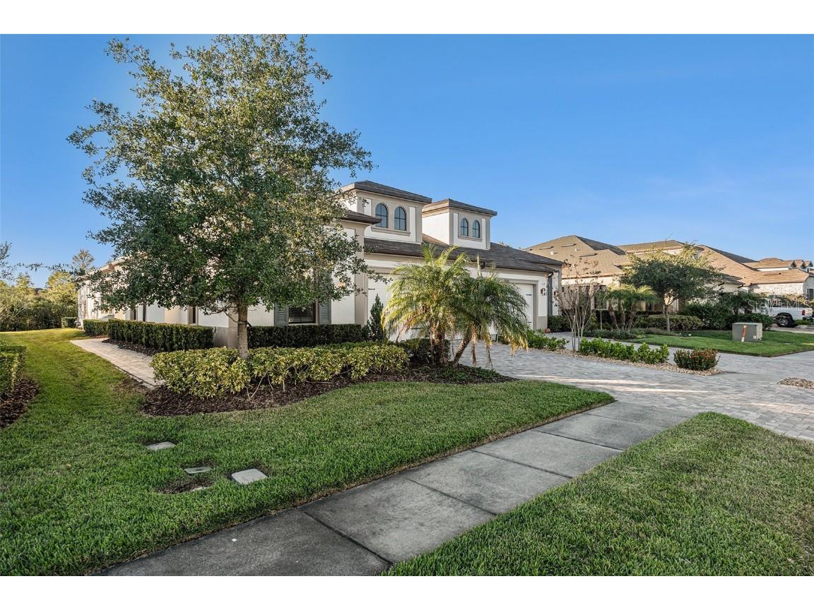 4205 Barletta Court Wesley Chapel FL 33543 TB8443858 image4