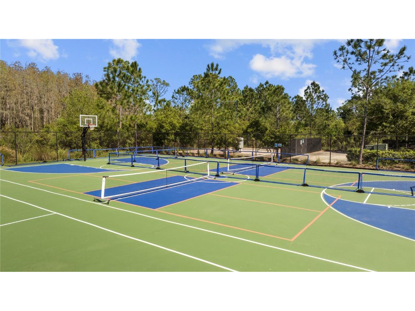 4205 Barletta Court Wesley Chapel FL 33543 TB8443858 image45