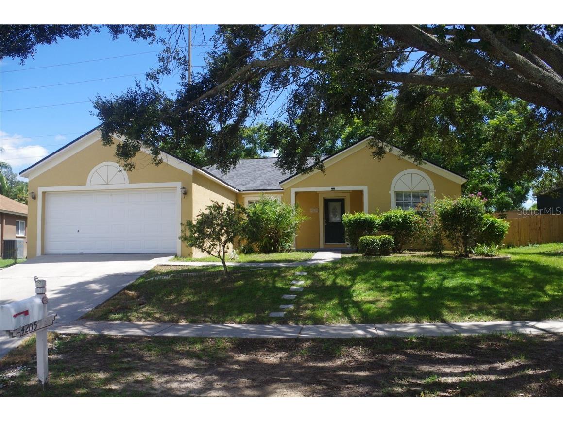 4205 Jade Lane Valrico FL 33594 T3466417 image1