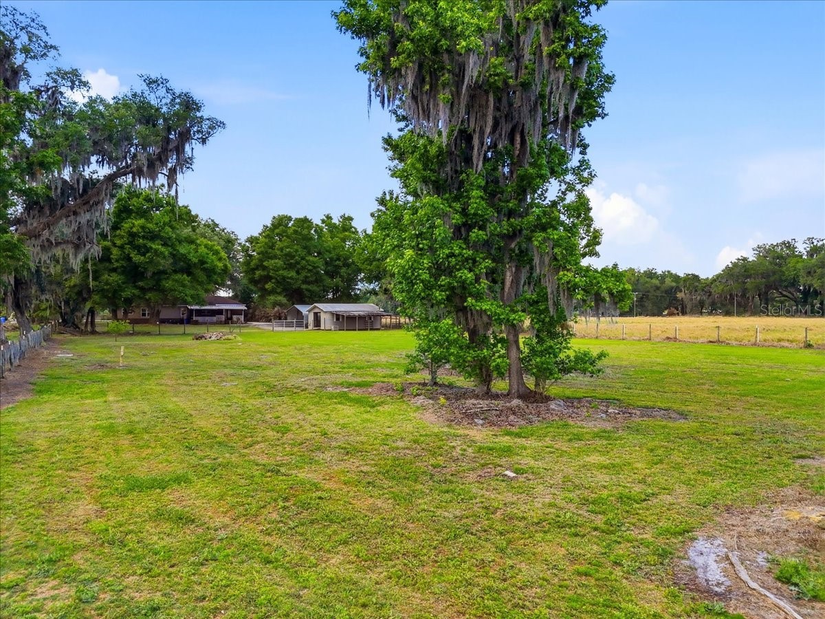 4205 N Combee Road Lakeland FL 33805 L4960807 image42