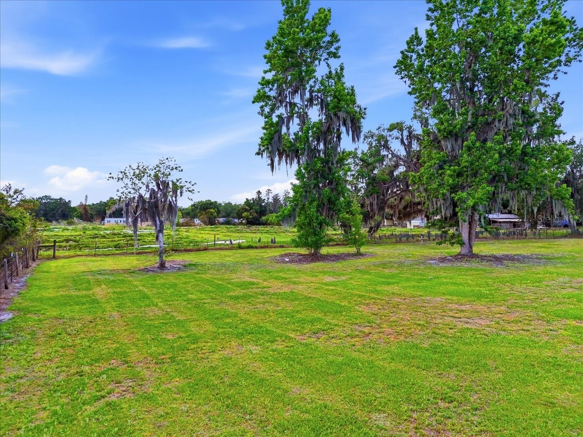 4205 N Combee Road Lakeland FL 33805 L4960807 image43