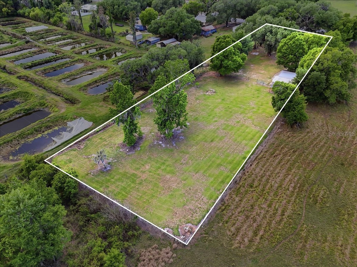 4205 N Combee Road Lakeland FL 33805 L4960807 image46