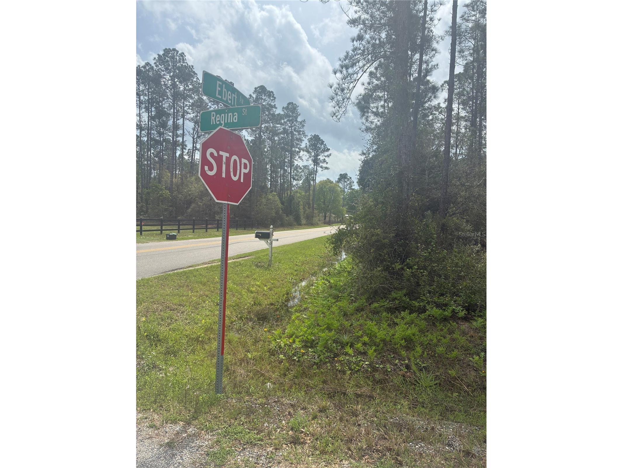 4205 Regina Street Hastings FL 32145 FC315470 image1