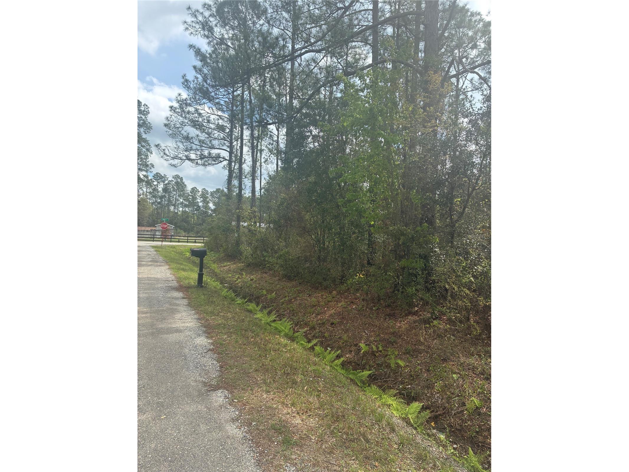 4205 Regina Street Hastings FL 32145 FC315470 image2