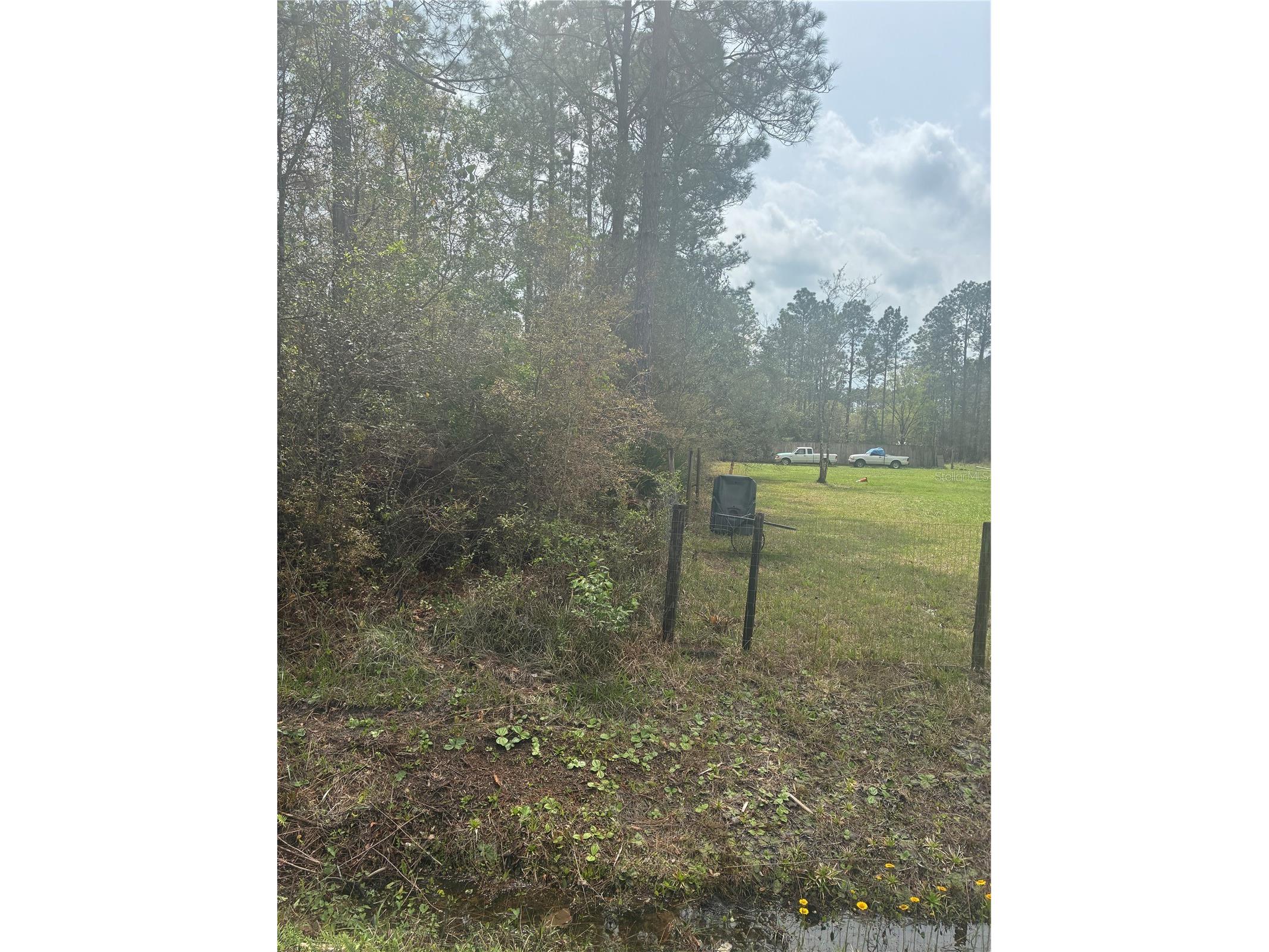 4205 Regina Street Hastings FL 32145 FC315470 image3