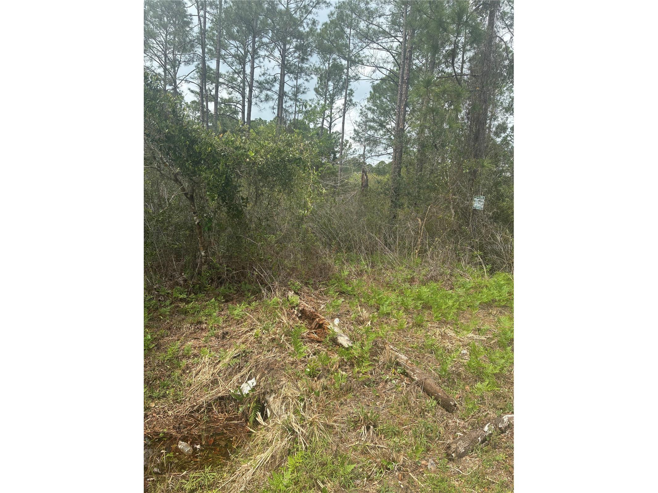 4205 Regina Street Hastings FL 32145 FC315470 image6