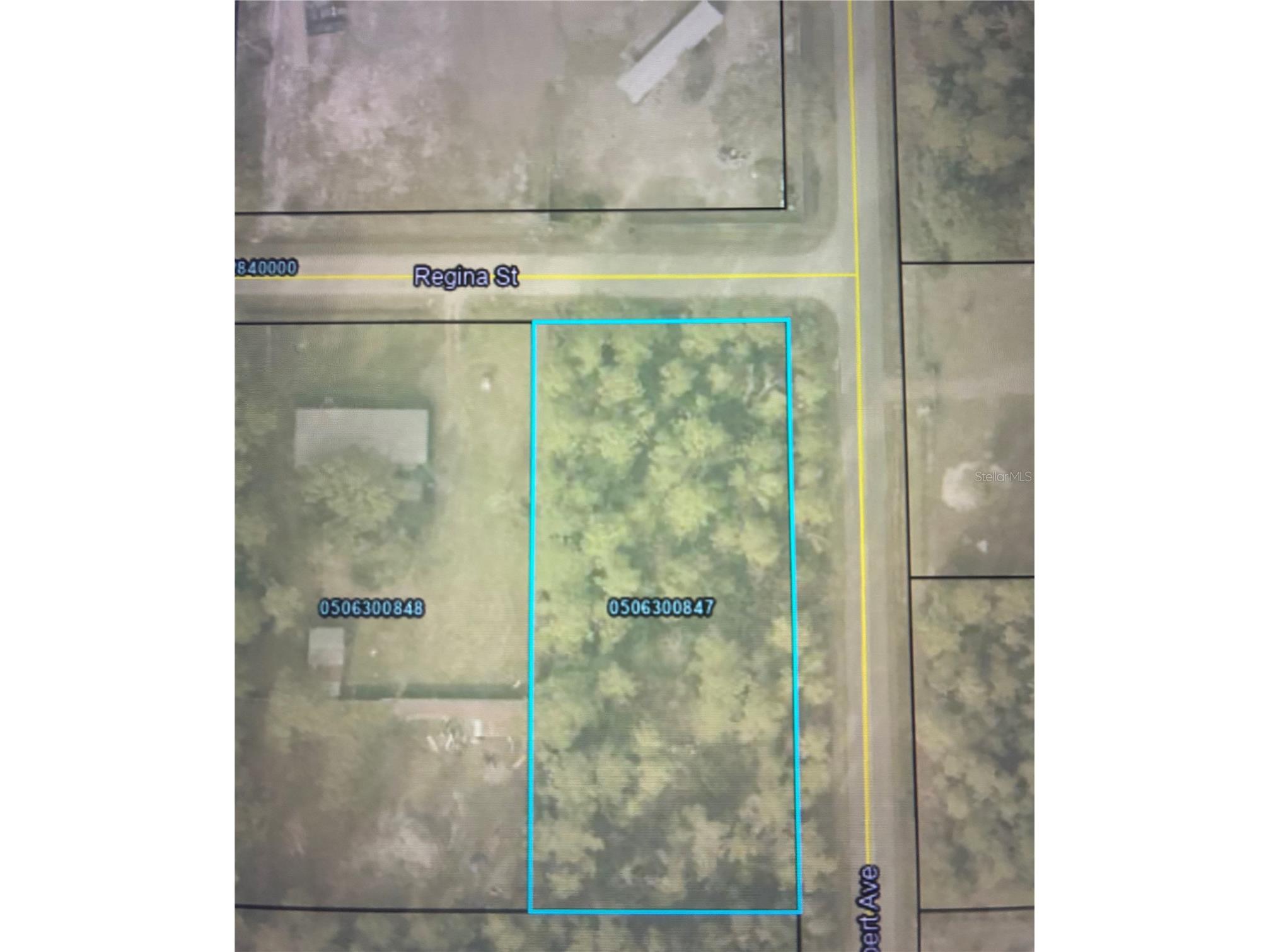 4205 Regina Street Hastings FL 32145 FC315470 image9