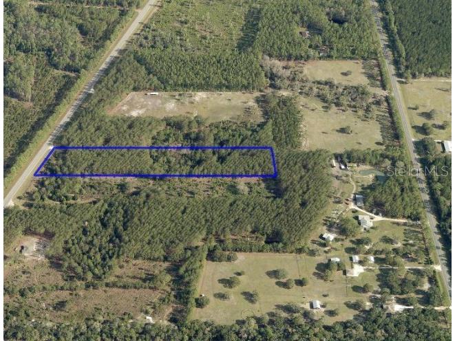 4205 W Highway 100 Bunnell FL 32110 FC311375 image2