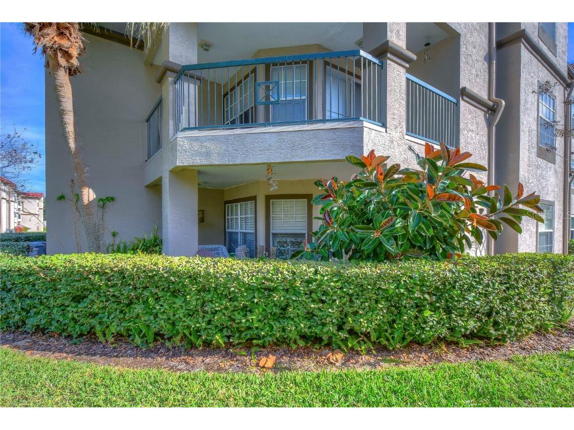 4205 Woodstorks Walk Way #2101 Lutz FL 33558 T3424574 image1