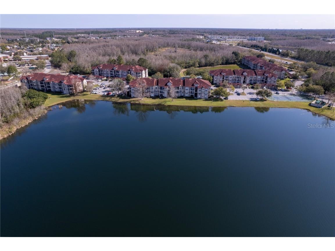 4205 Woodstorks Walk Way #2106 Lutz FL 33558 T3435860 image1