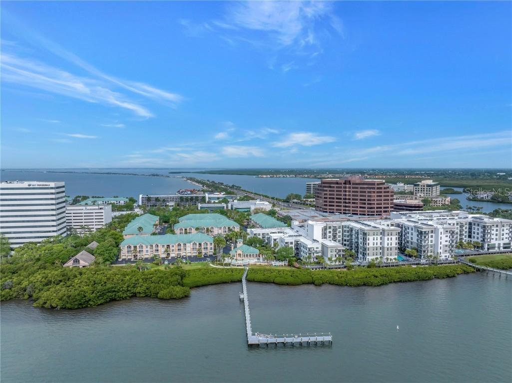 4206 Bay Club Circle #4206 Tampa FL 33607 TB8438488 image33