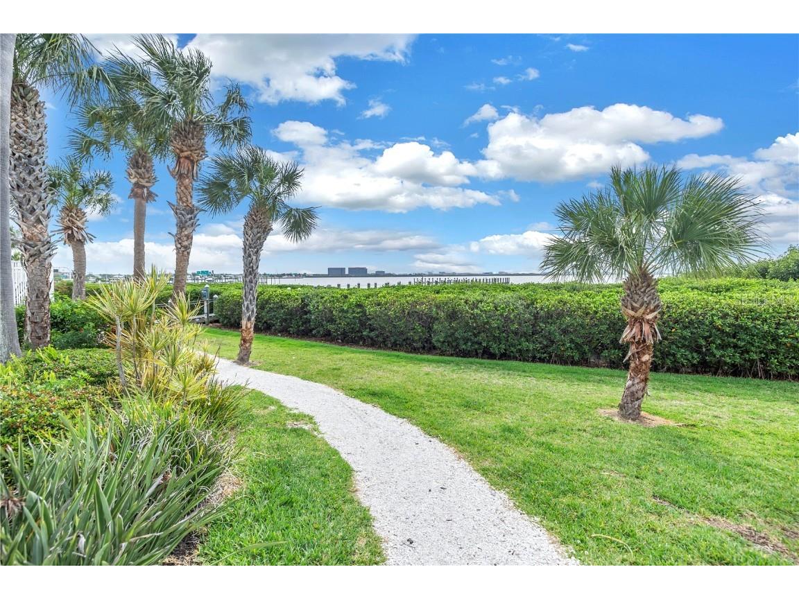 4206 Bay Club Circle #4206 Tampa FL 33607 TB8438488 image40