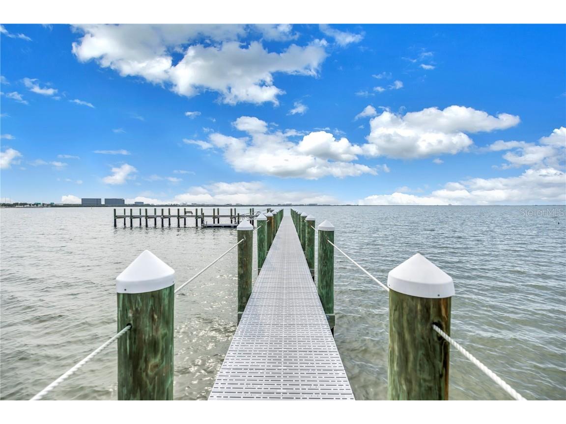 4206 Bay Club Circle #4206 Tampa FL 33607 TB8438488 image41
