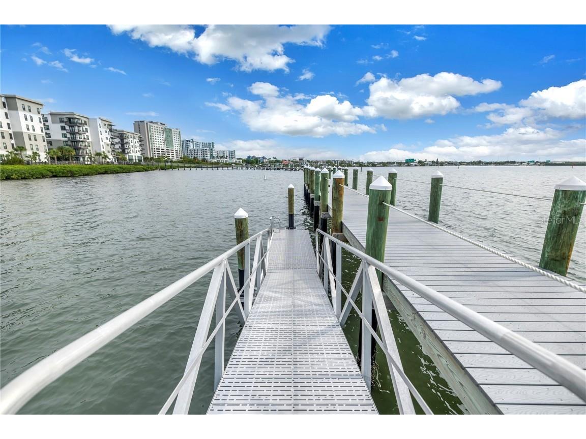 4206 Bay Club Circle #4206 Tampa FL 33607 TB8438488 image42