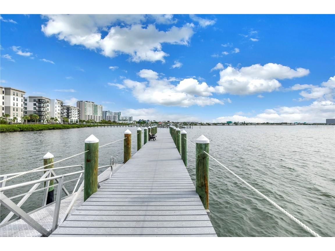 4206 Bay Club Circle #4206 Tampa FL 33607 TB8438488 image43