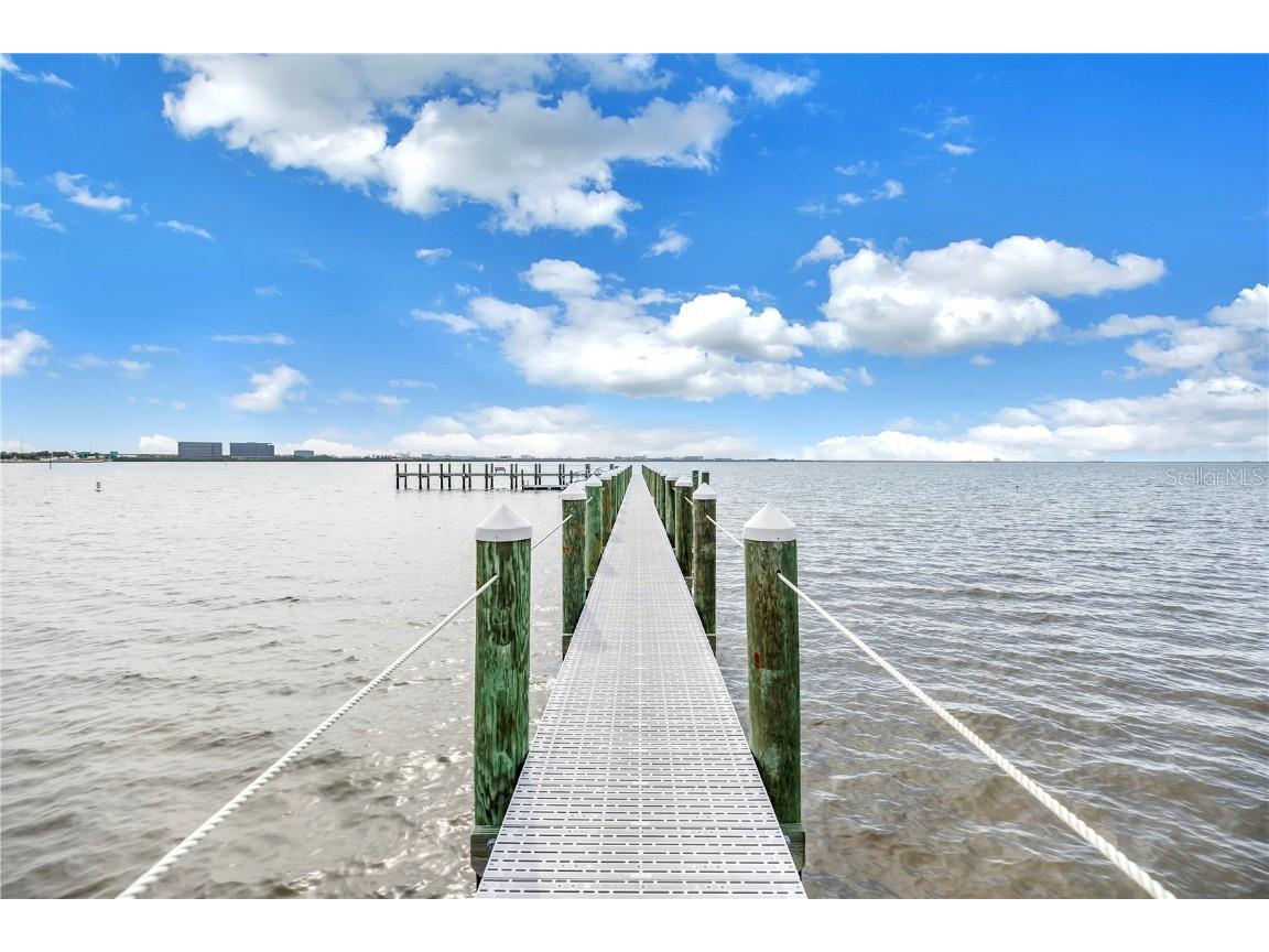 4206 Bay Club Circle #4206 Tampa FL 33607 TB8438488 image45