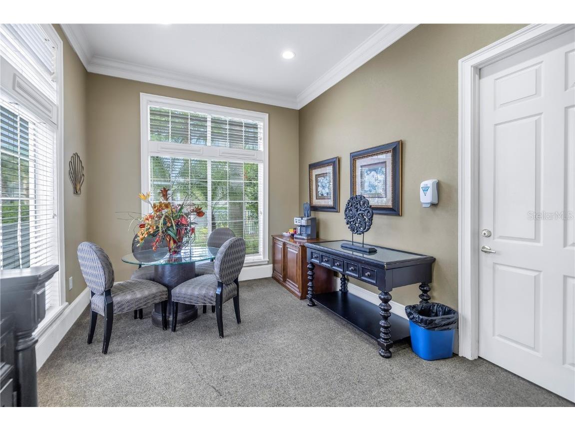 4206 Bay Club Circle #4206 Tampa FL 33607 TB8438488 image58